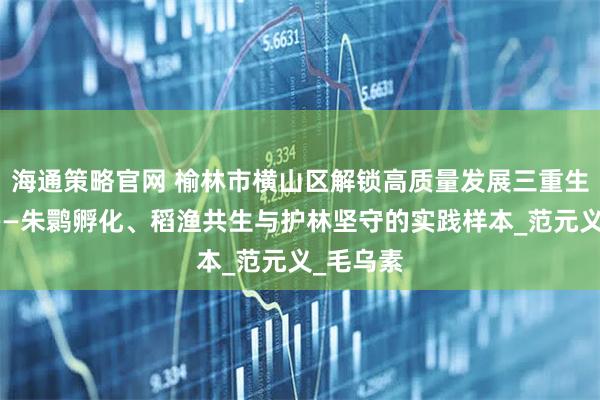 海通策略官网 榆林市横山区解锁高质量发展三重生态密码——朱鹮孵化、稻渔共生与护林坚守的实践样本_范元义_毛乌素