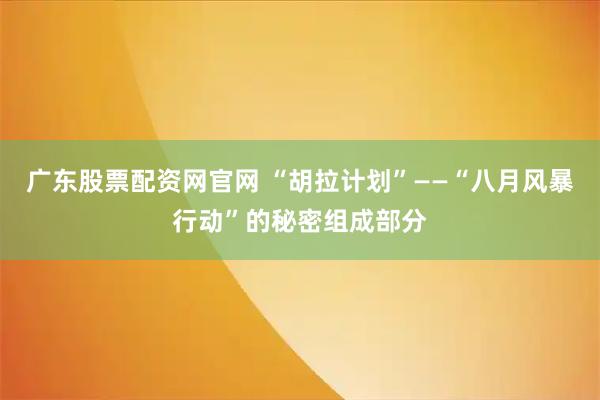 广东股票配资网官网 “胡拉计划”——“八月风暴行动”的秘密组成部分